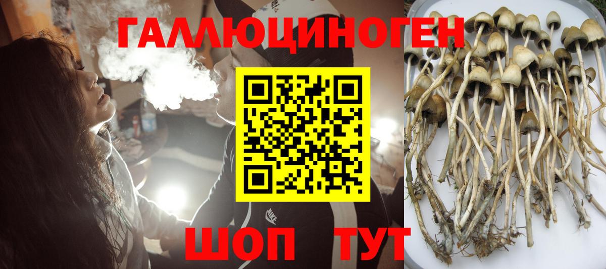 Галлюциногенные грибы Cubensis  Вход с VPN  Донецк  Псилоцибиновые грибы Magic Shrooms 
